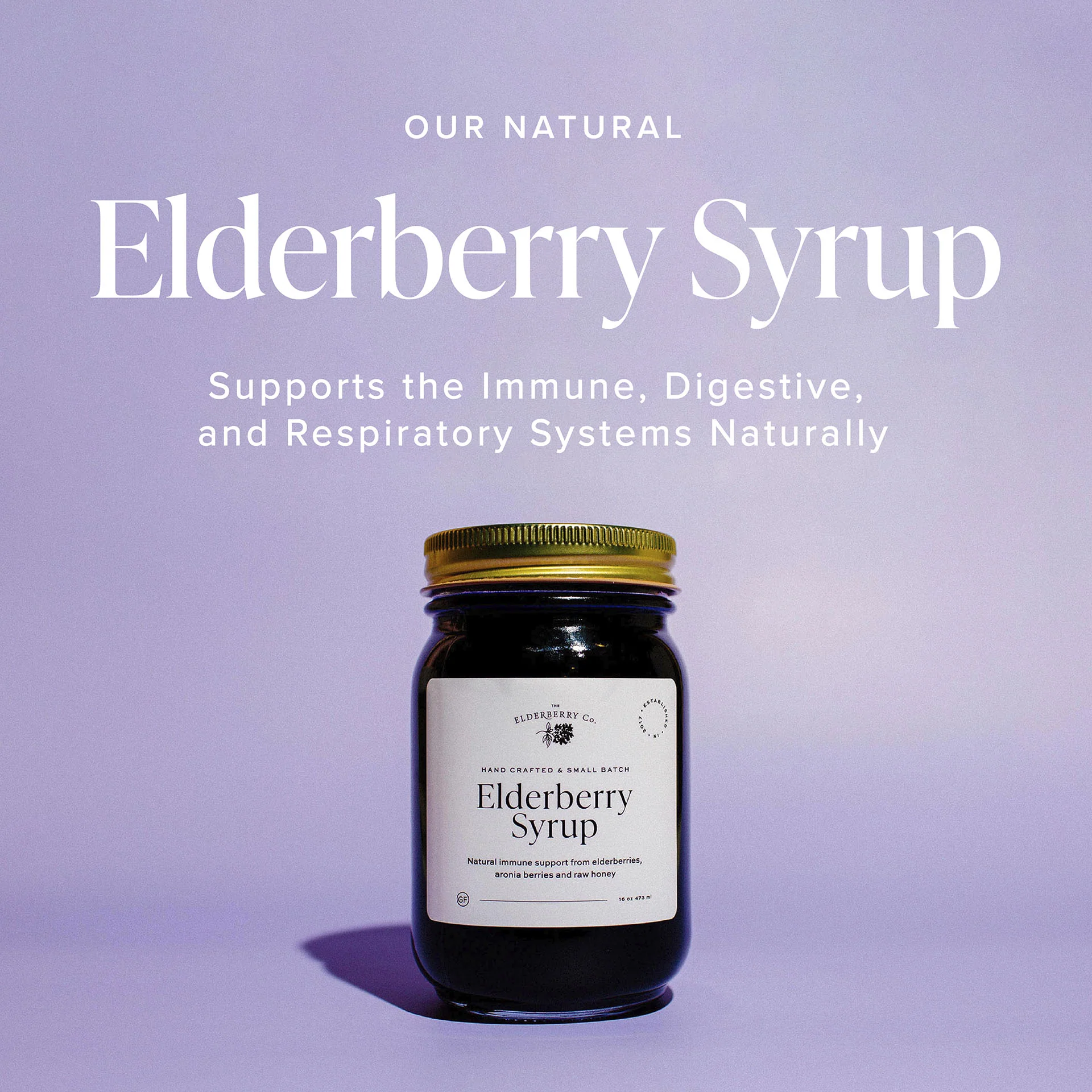 Elderberry Syrup - Image 6